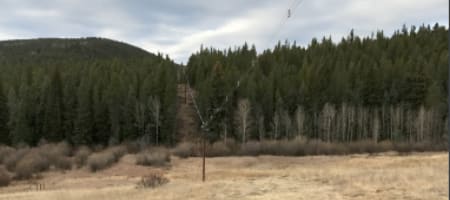 Single Phase Line In Wooded Area