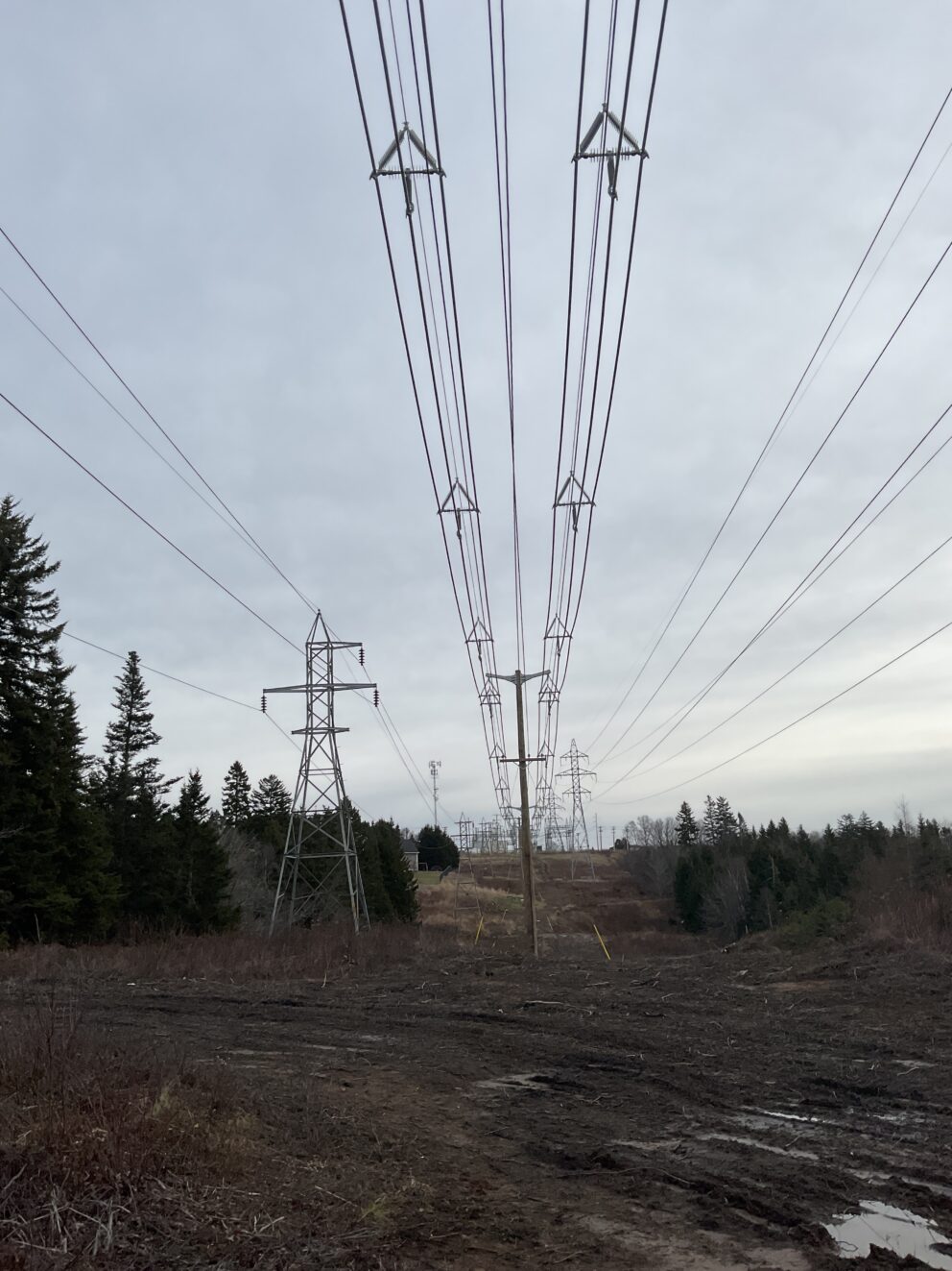 69kV installation in forested area
